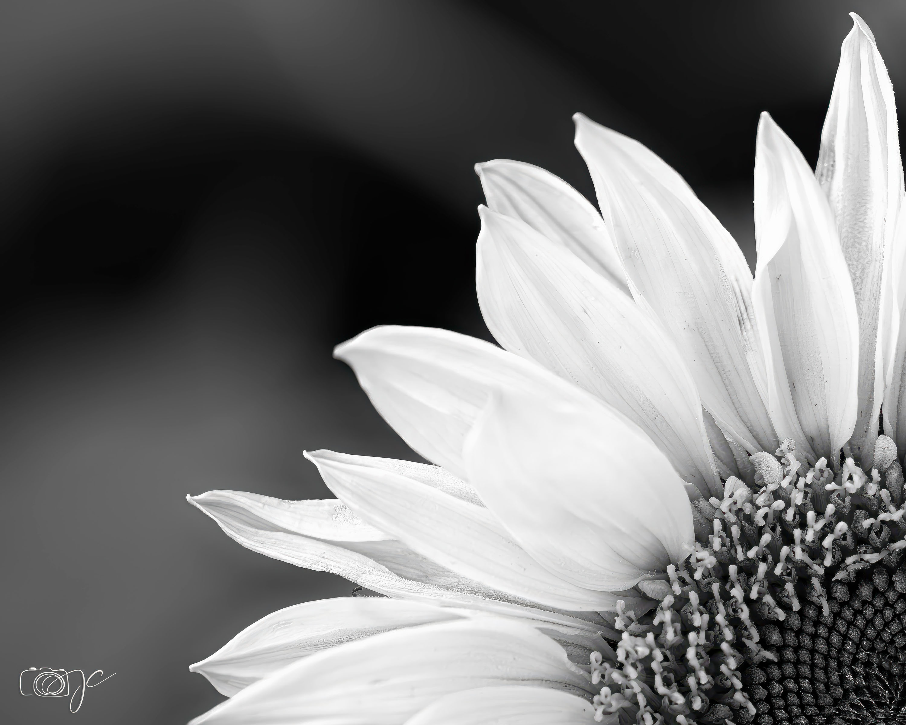 Macro