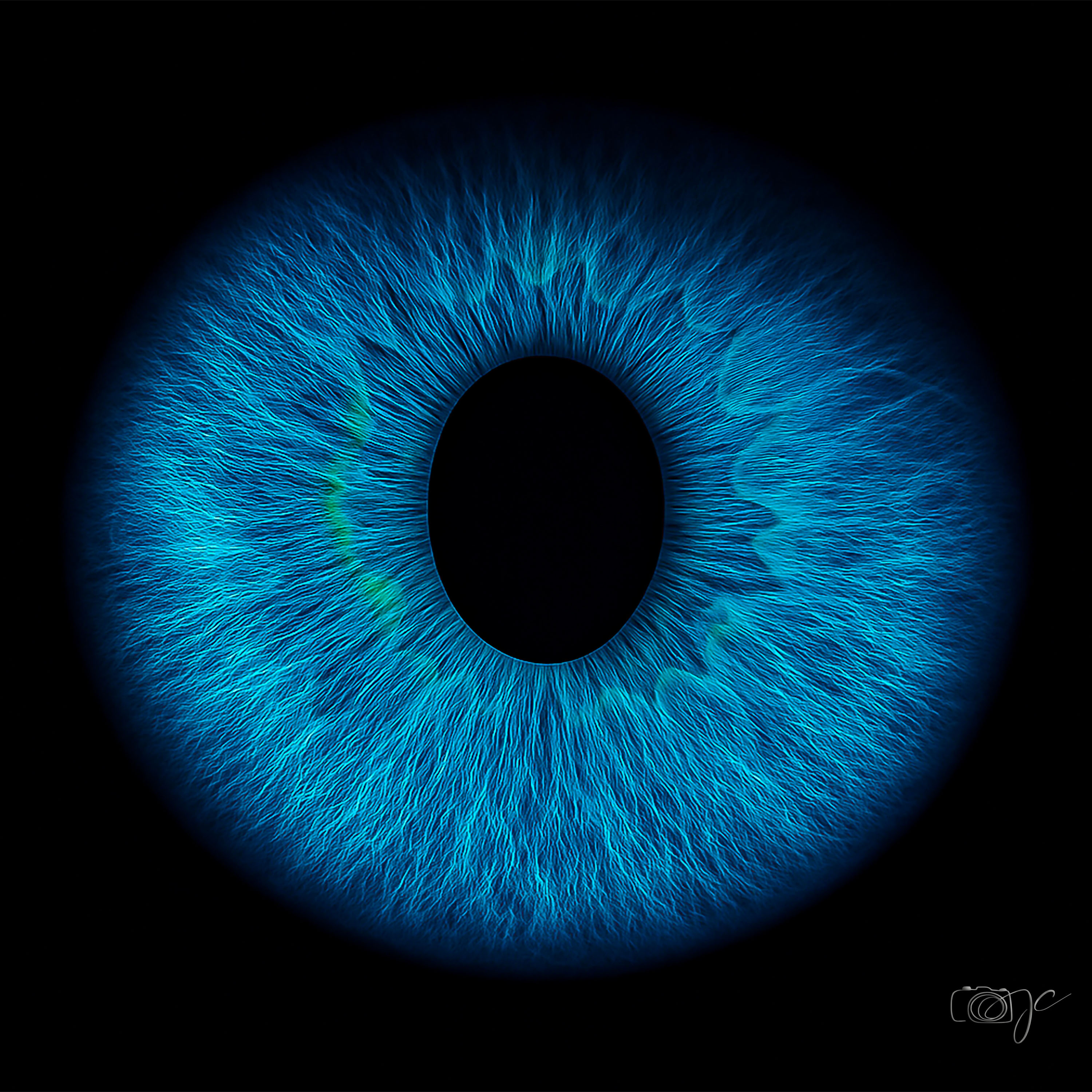Macro