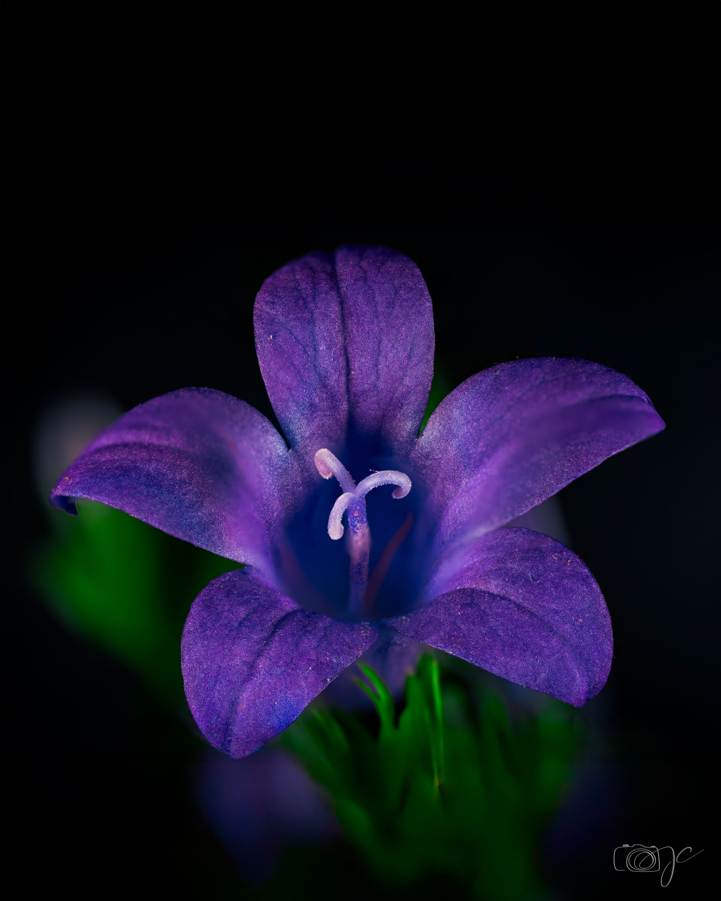 Macro