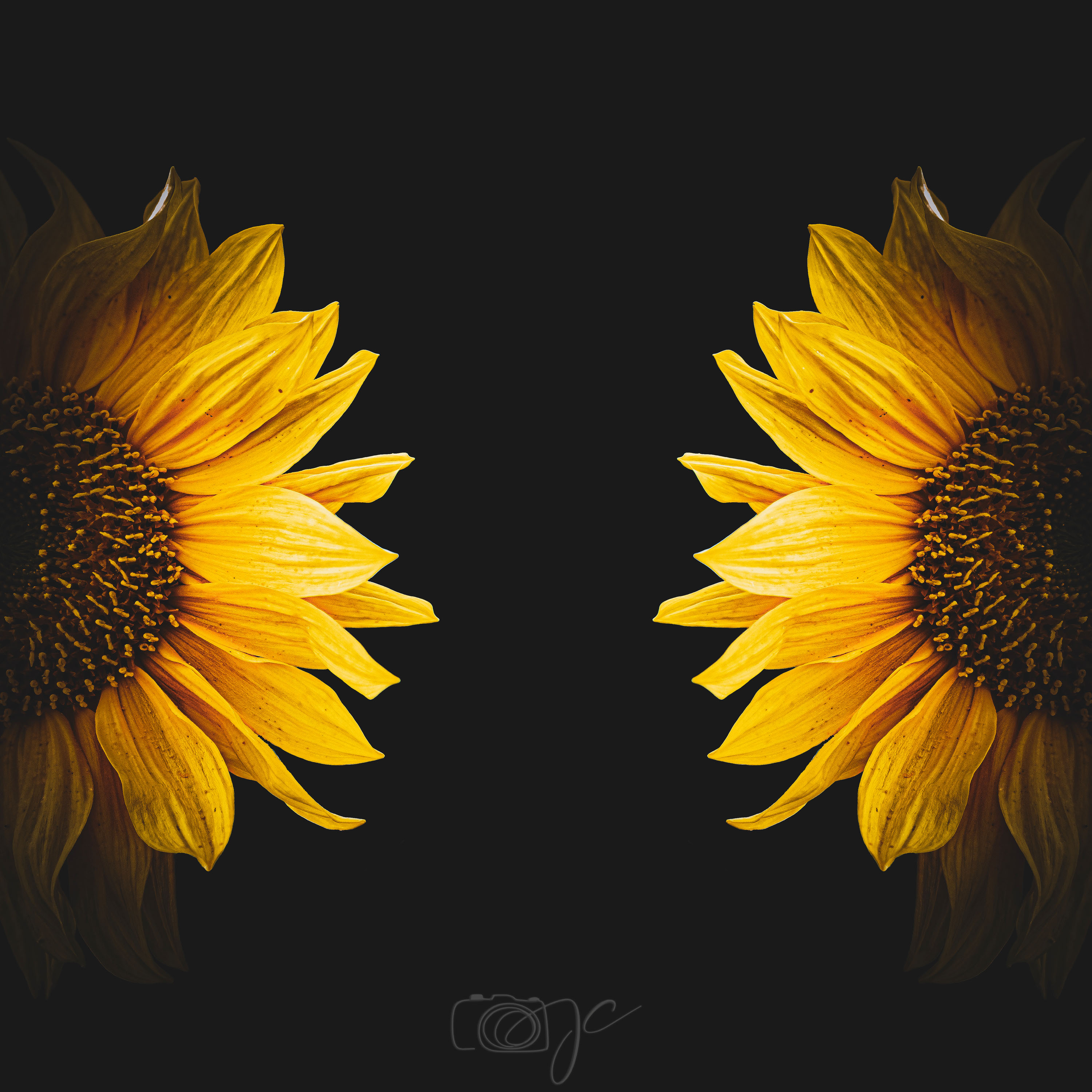 Macro