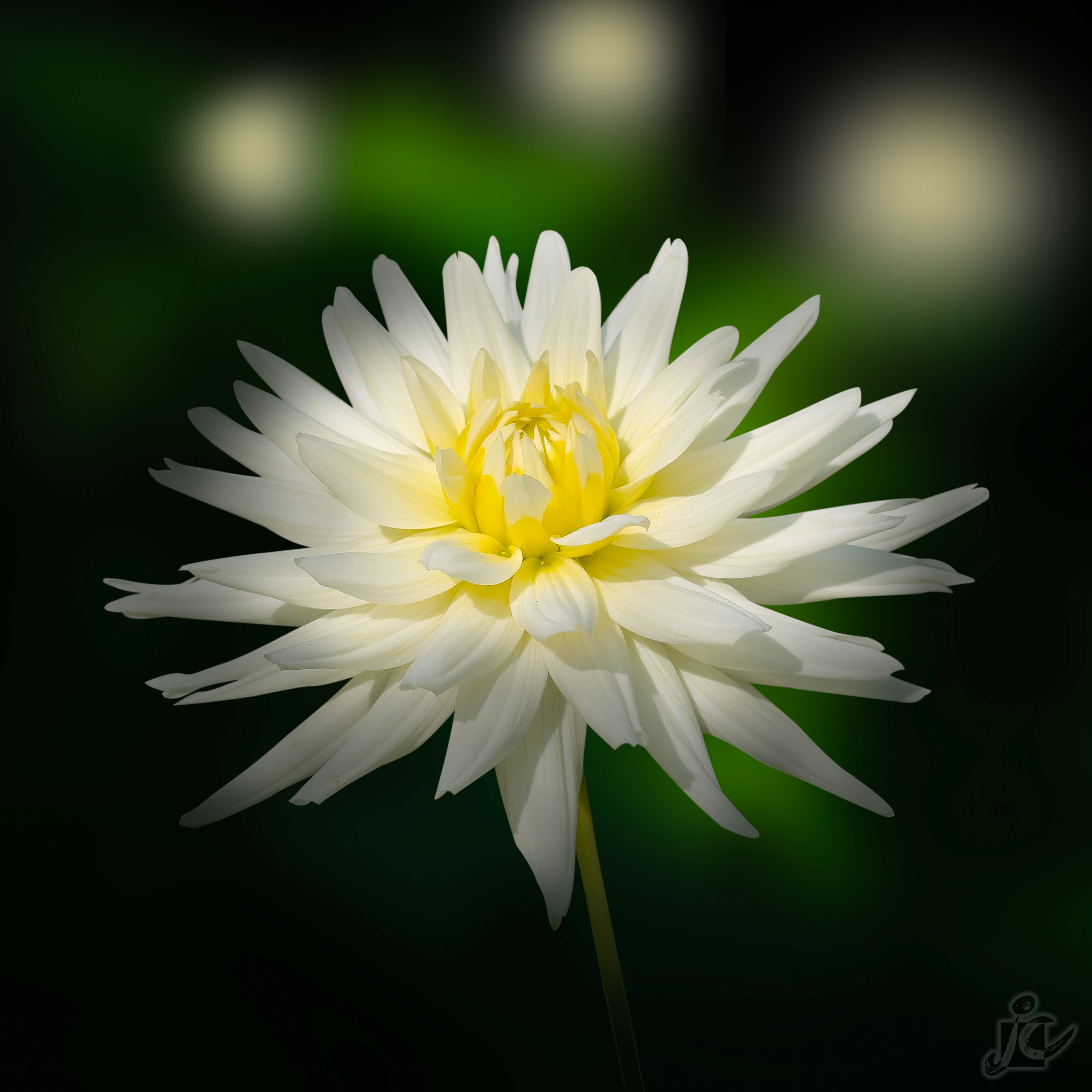 Macro