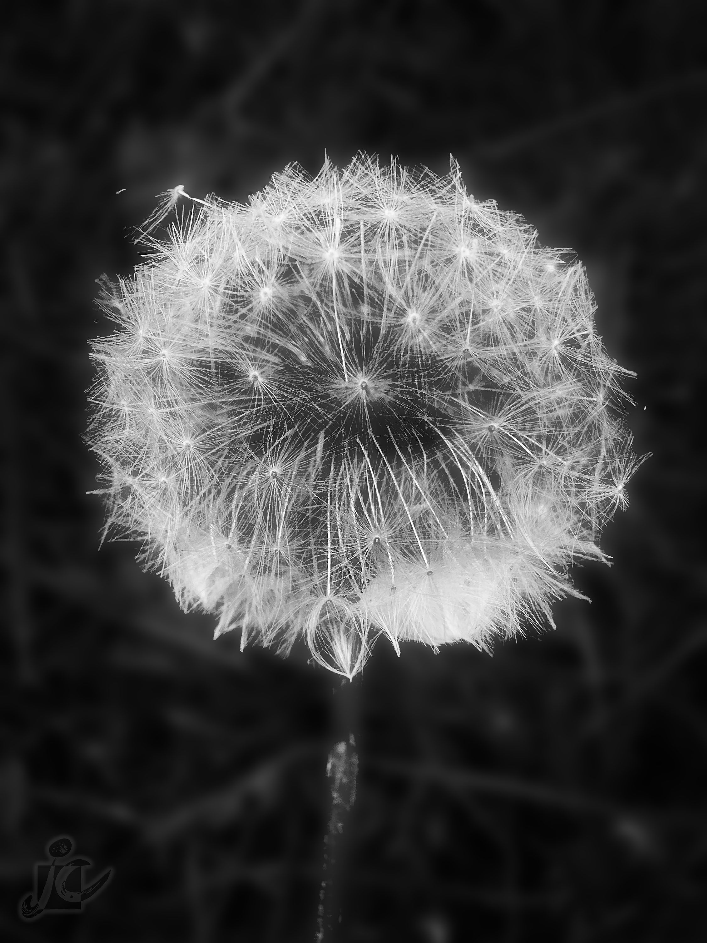 Macro