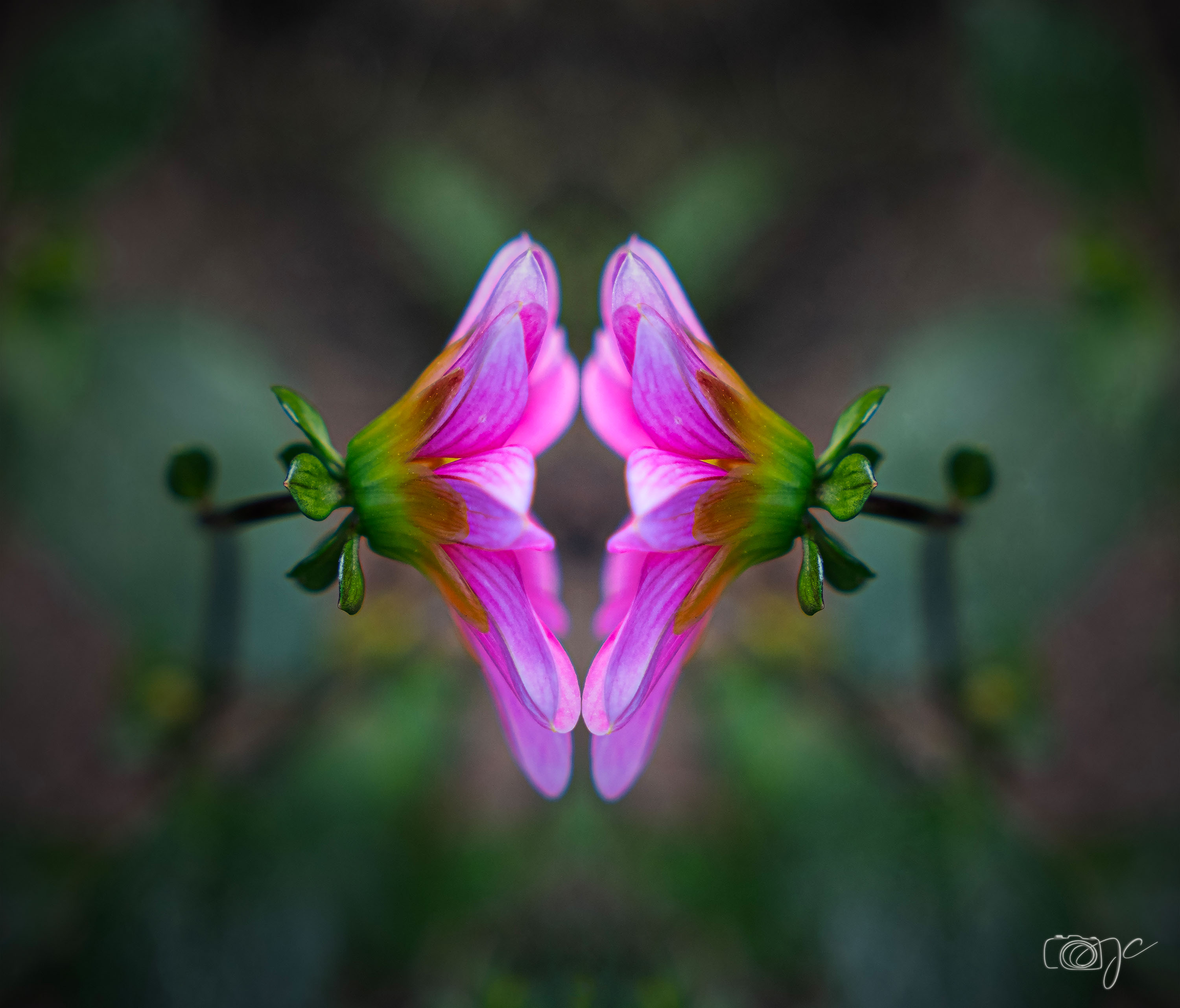 Macro