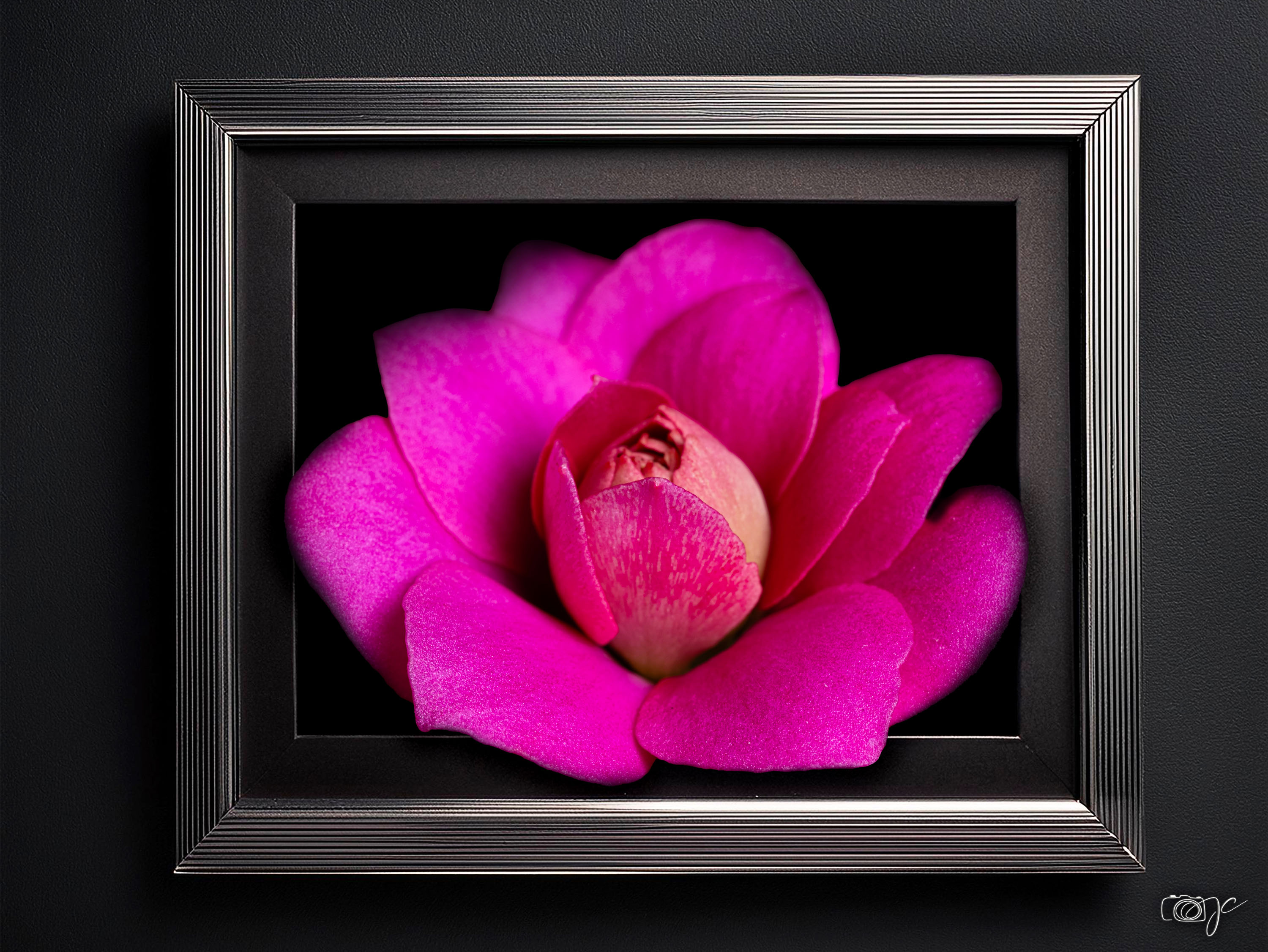 Macro
