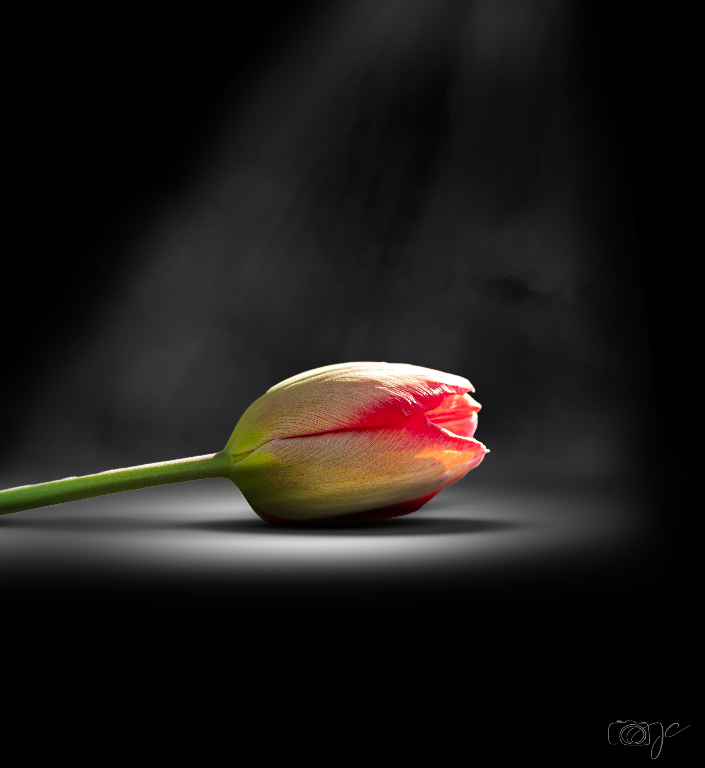 Macro
