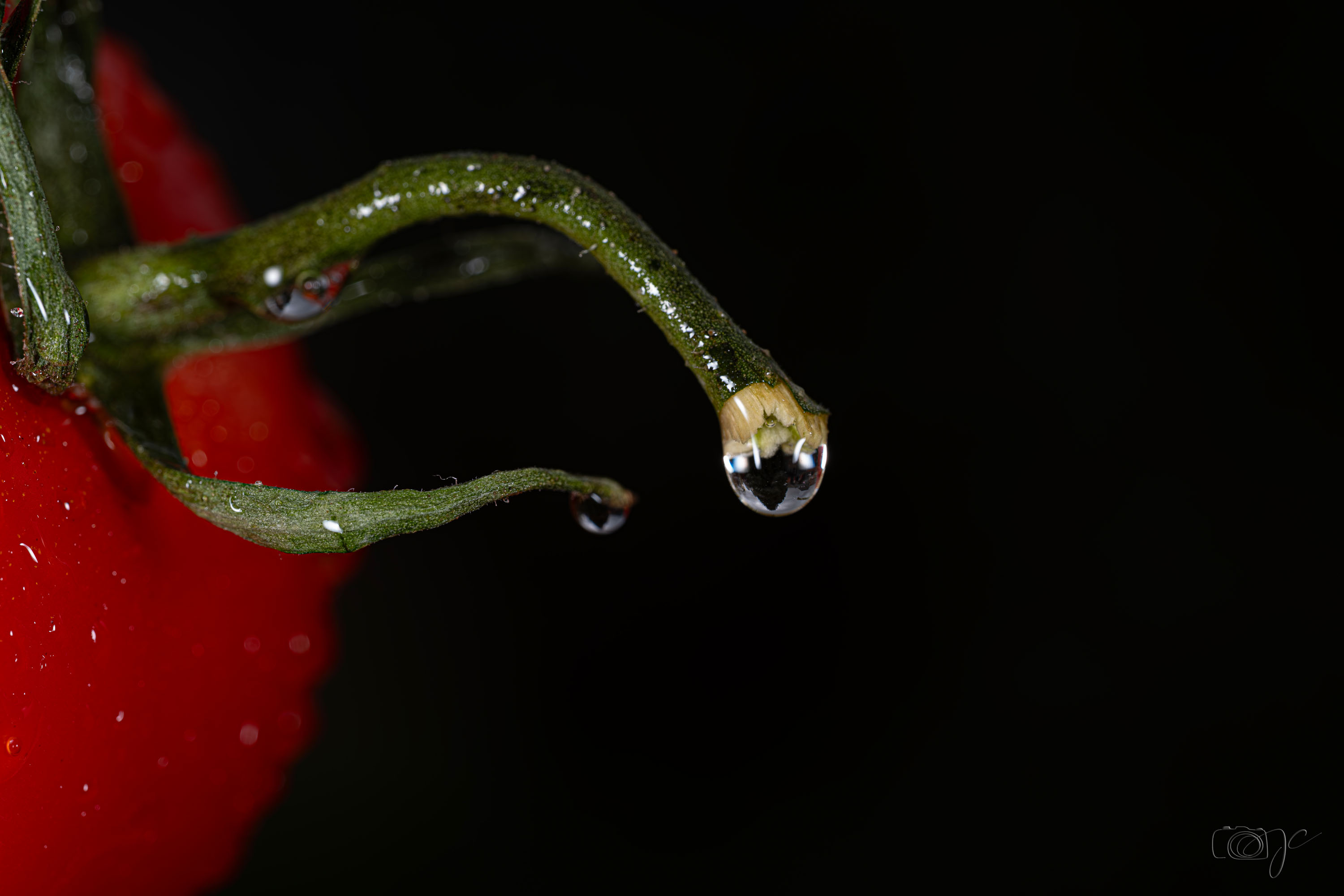 Macro