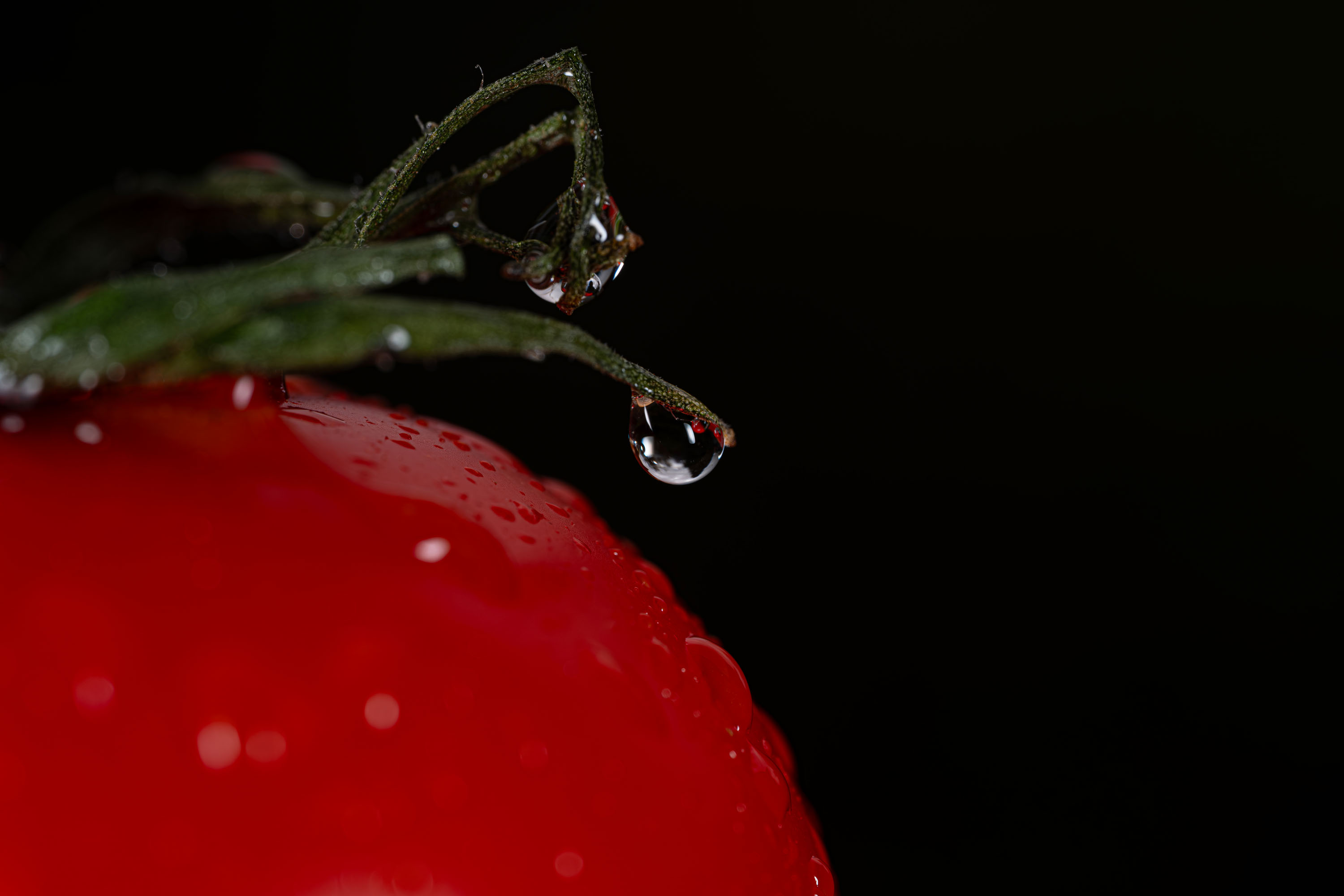Macro