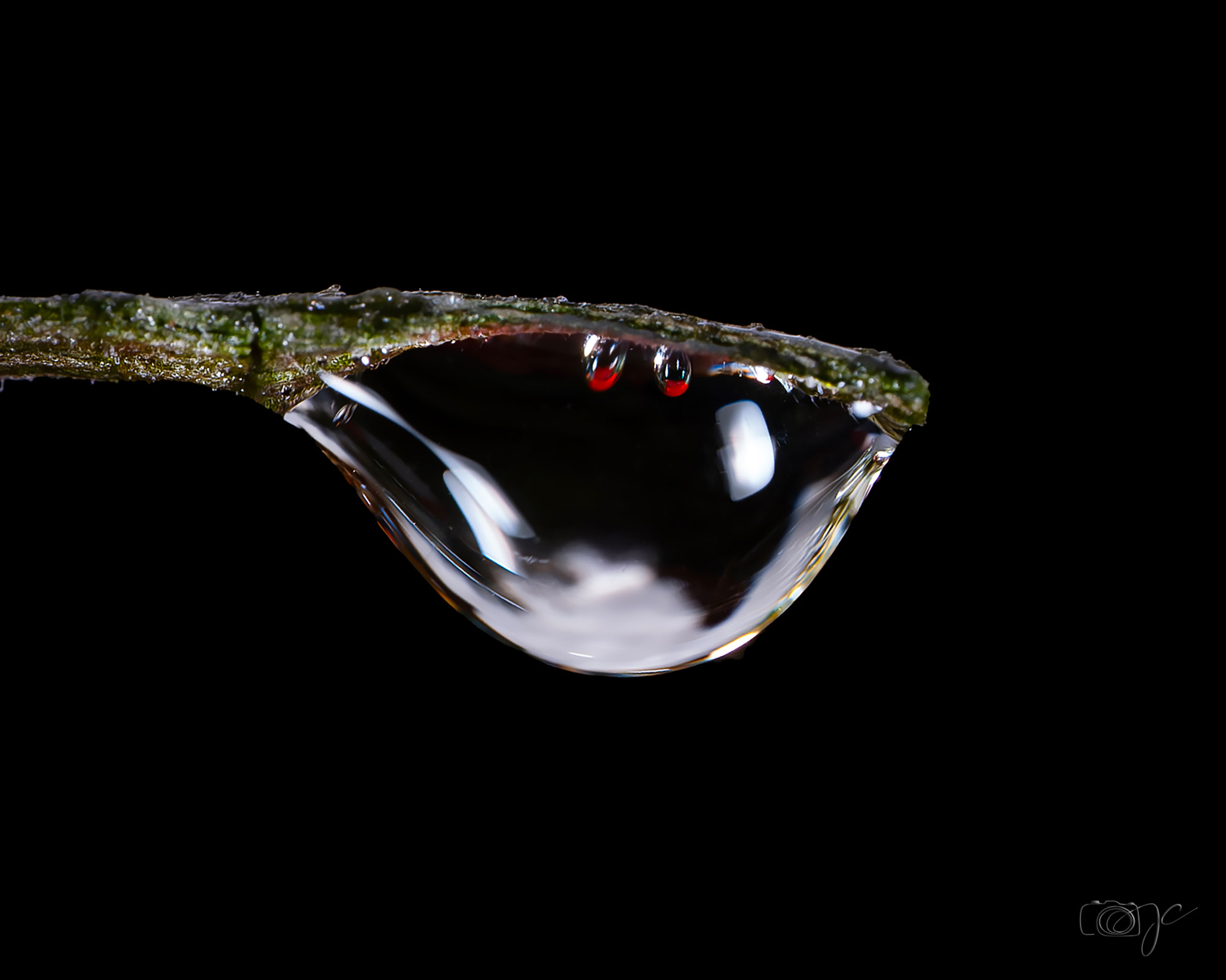 Macro