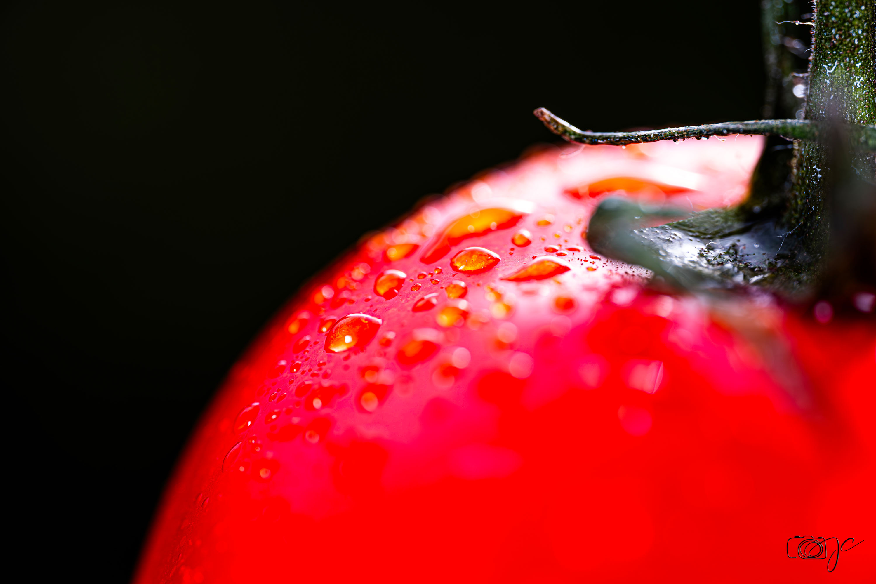 Macro