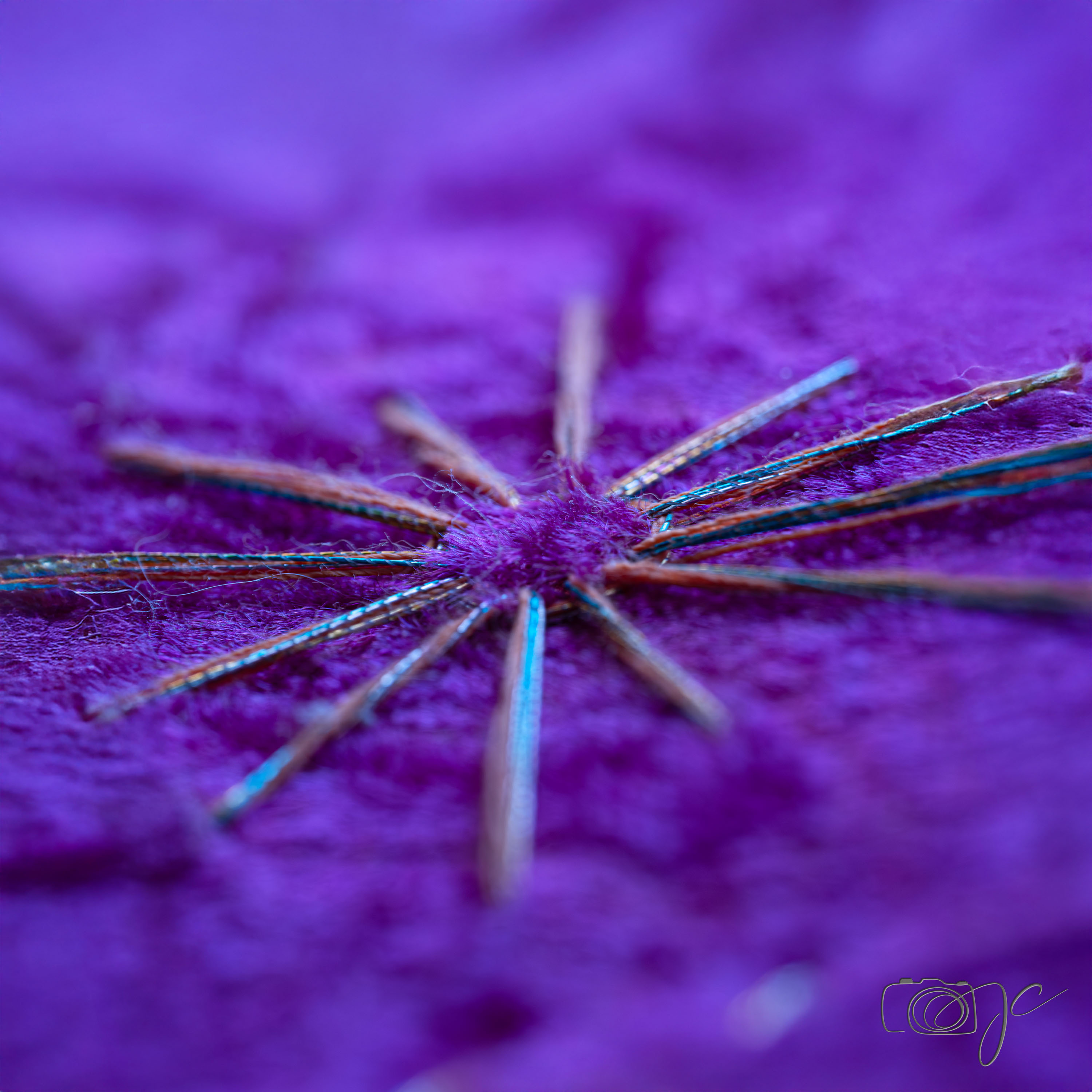 Macro
