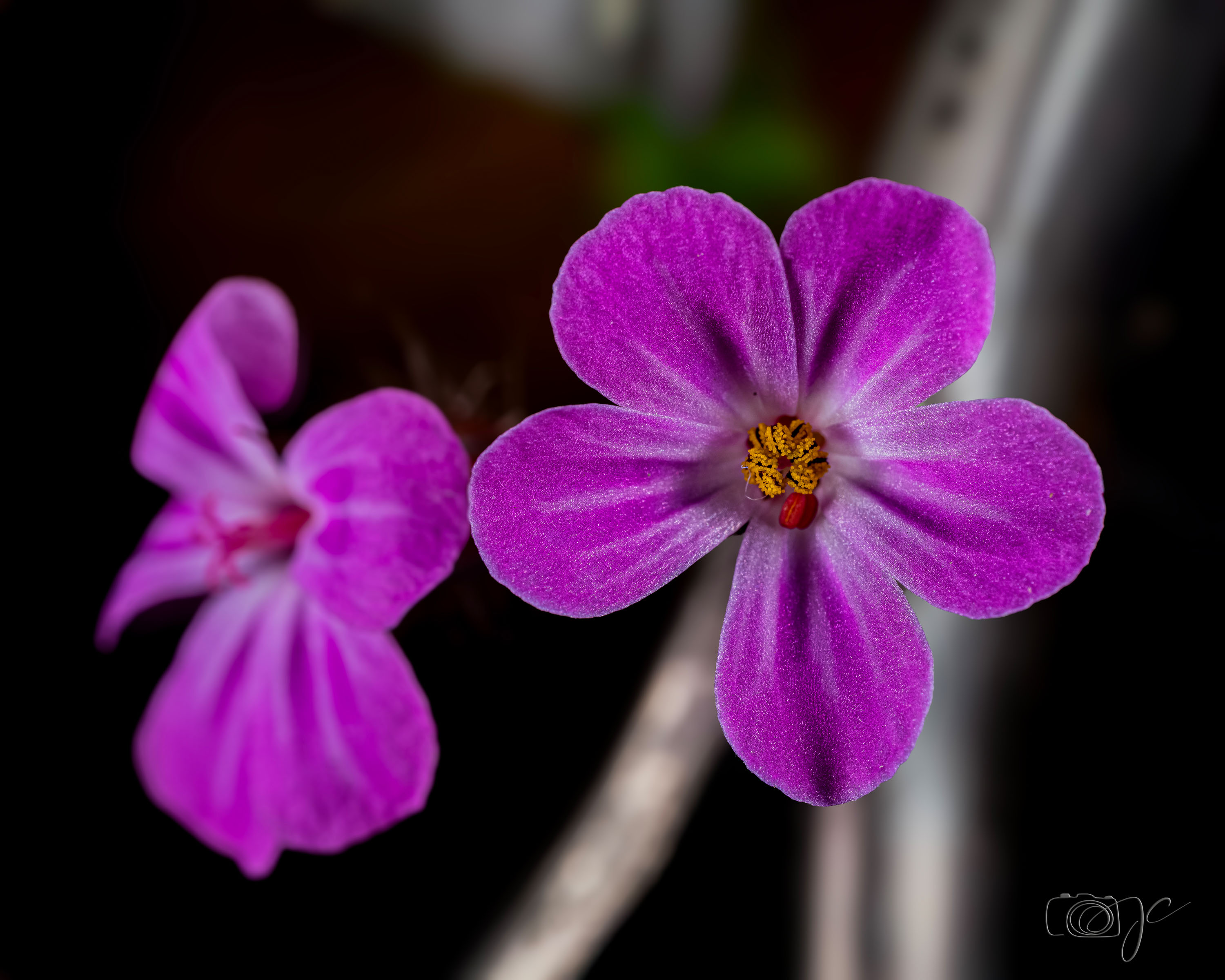 Macro