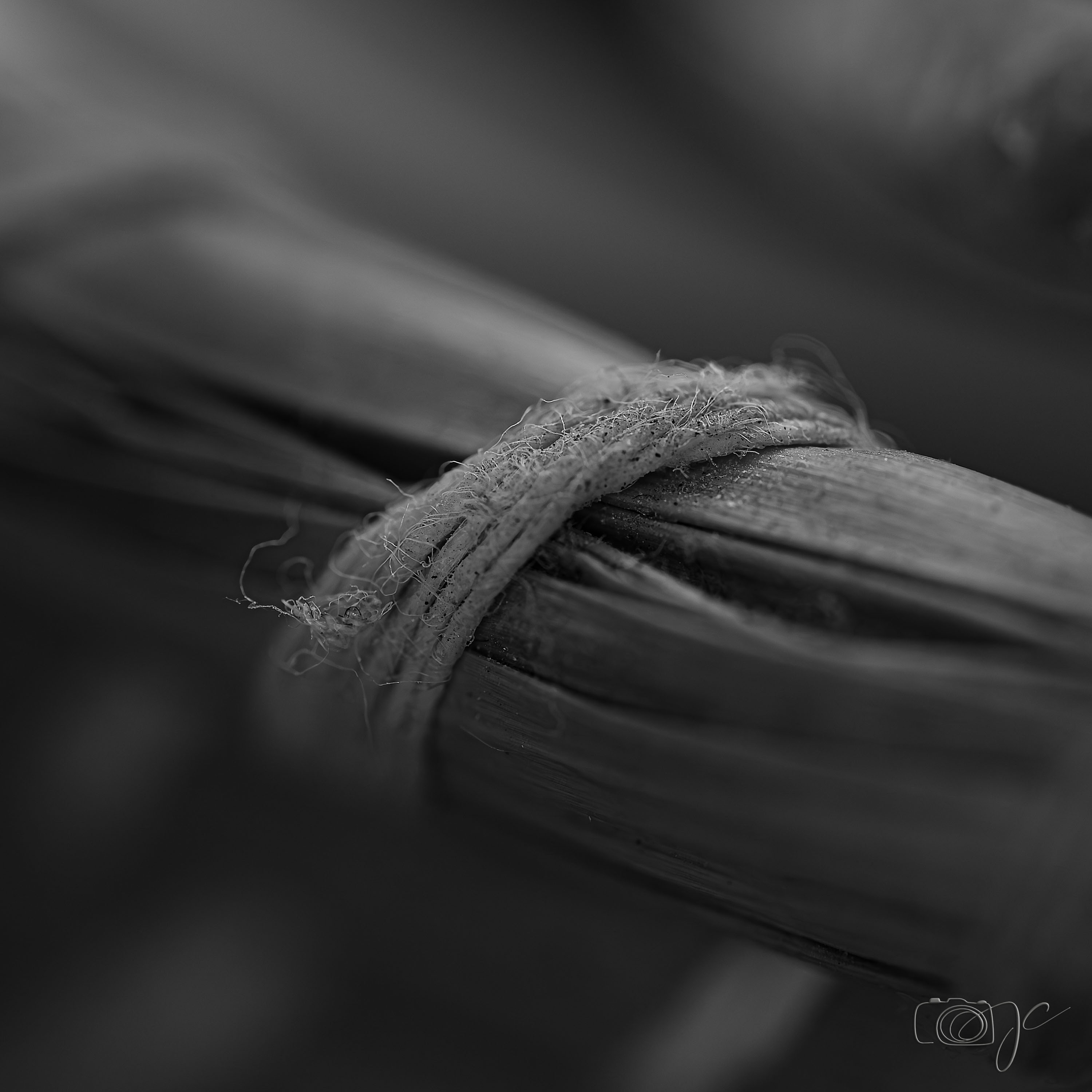Macro