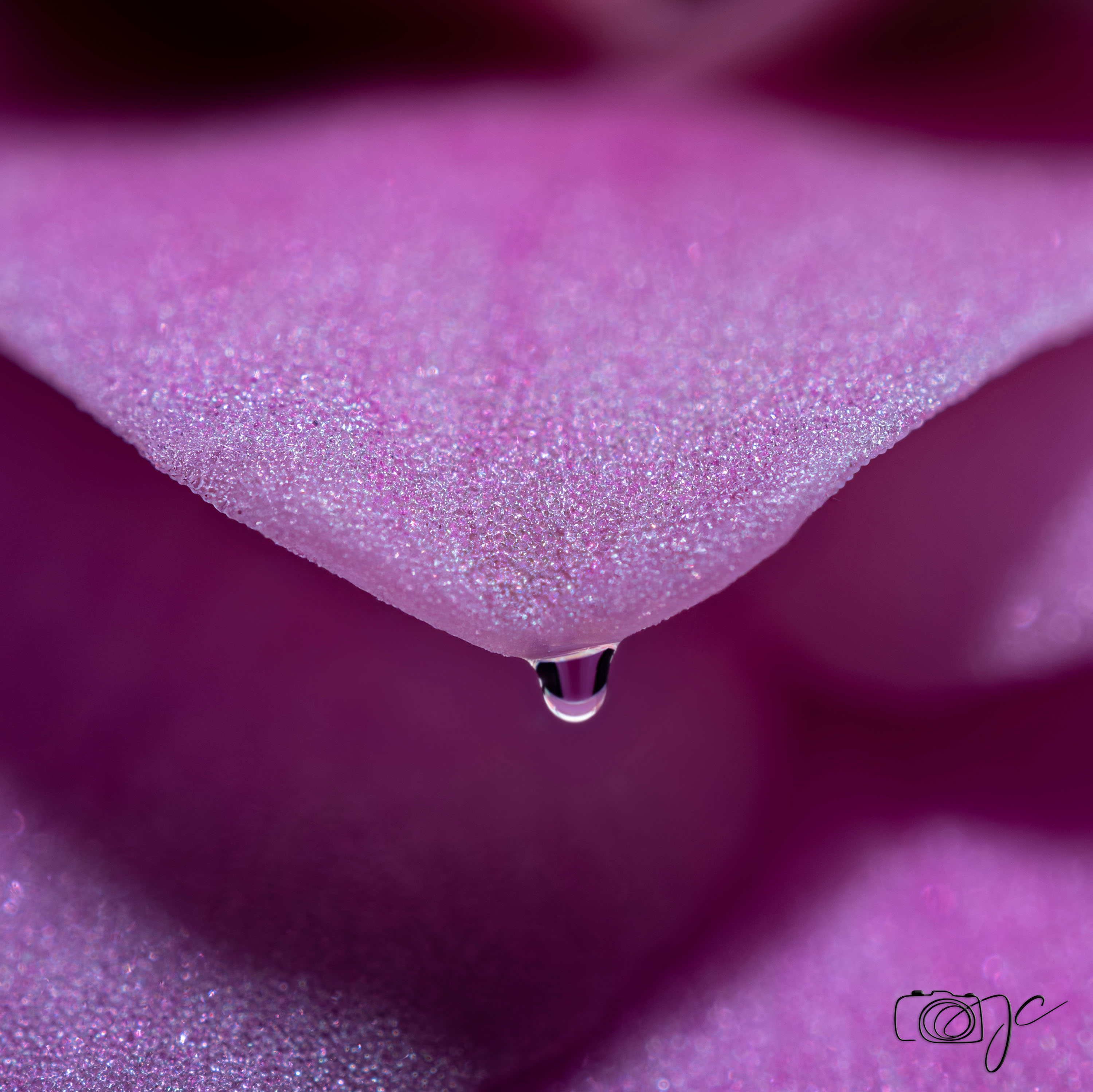 Macro