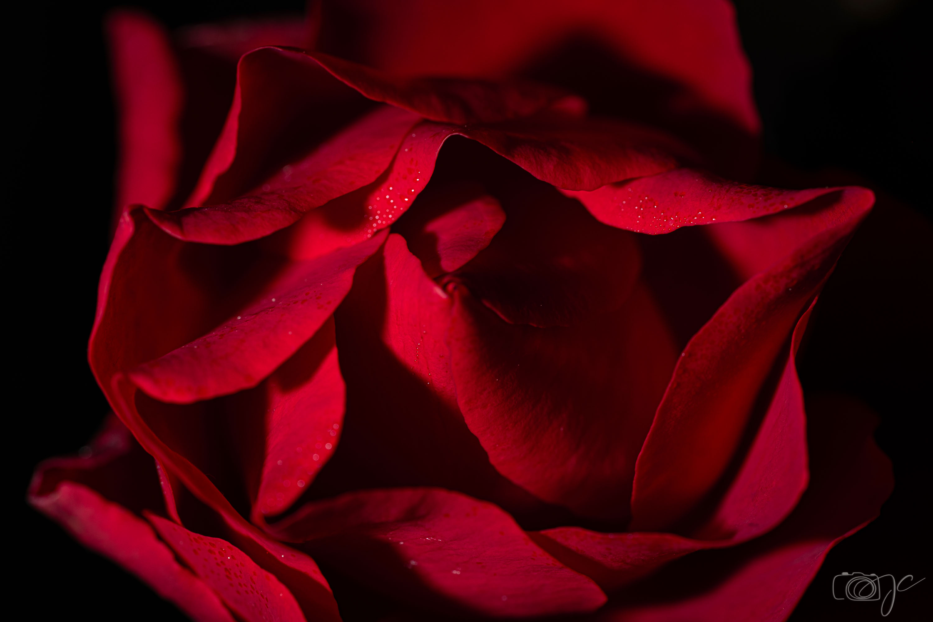 Macro