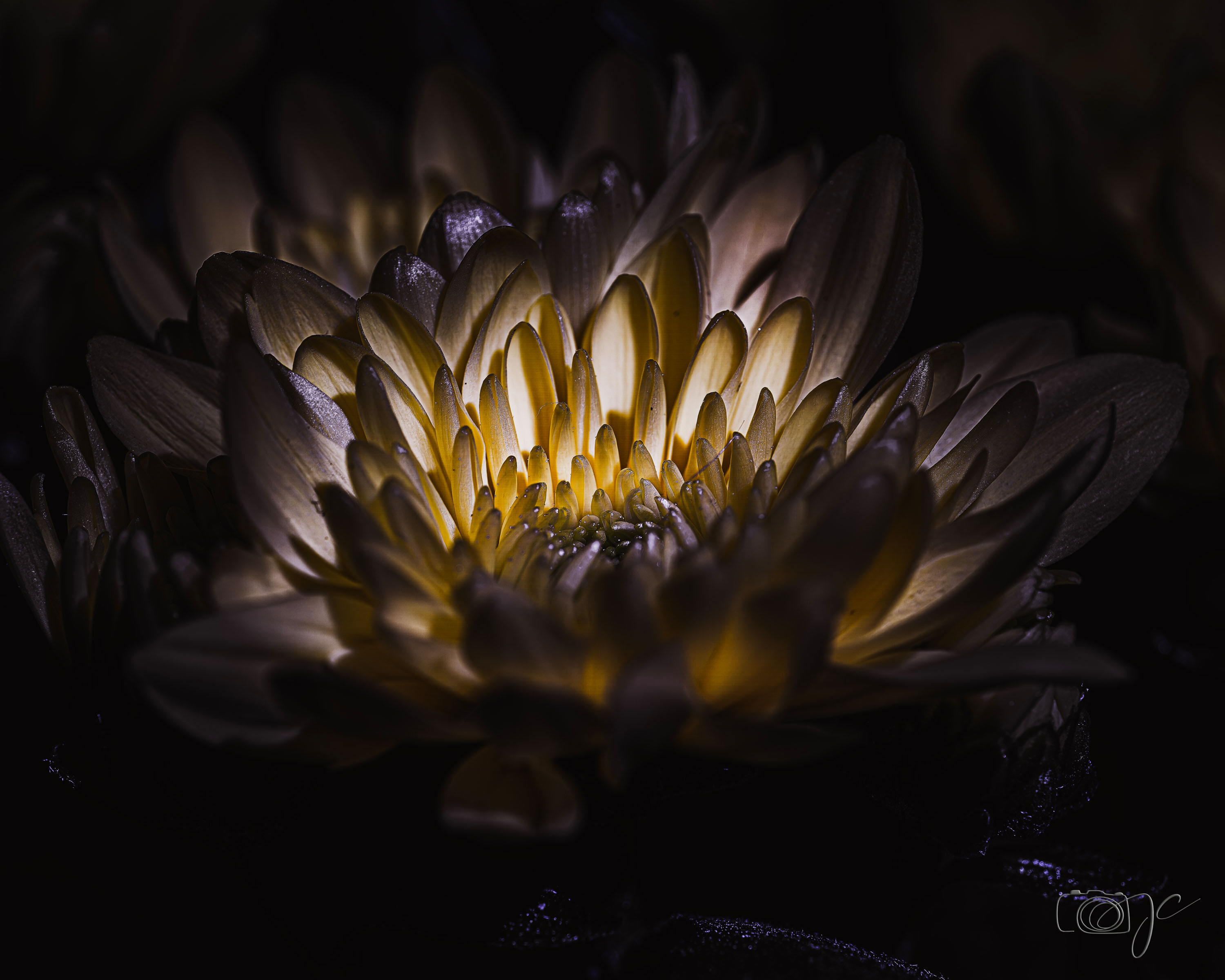 Macro