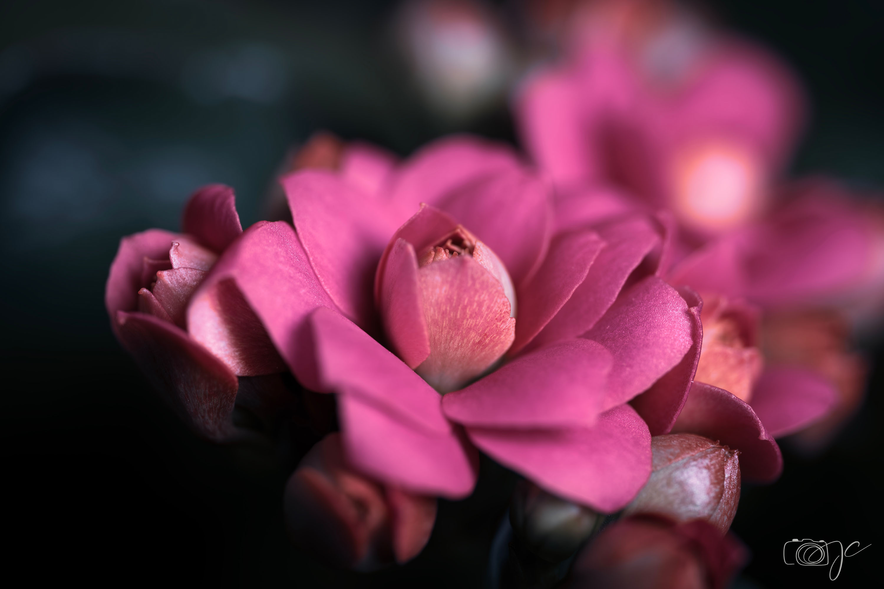 Macro