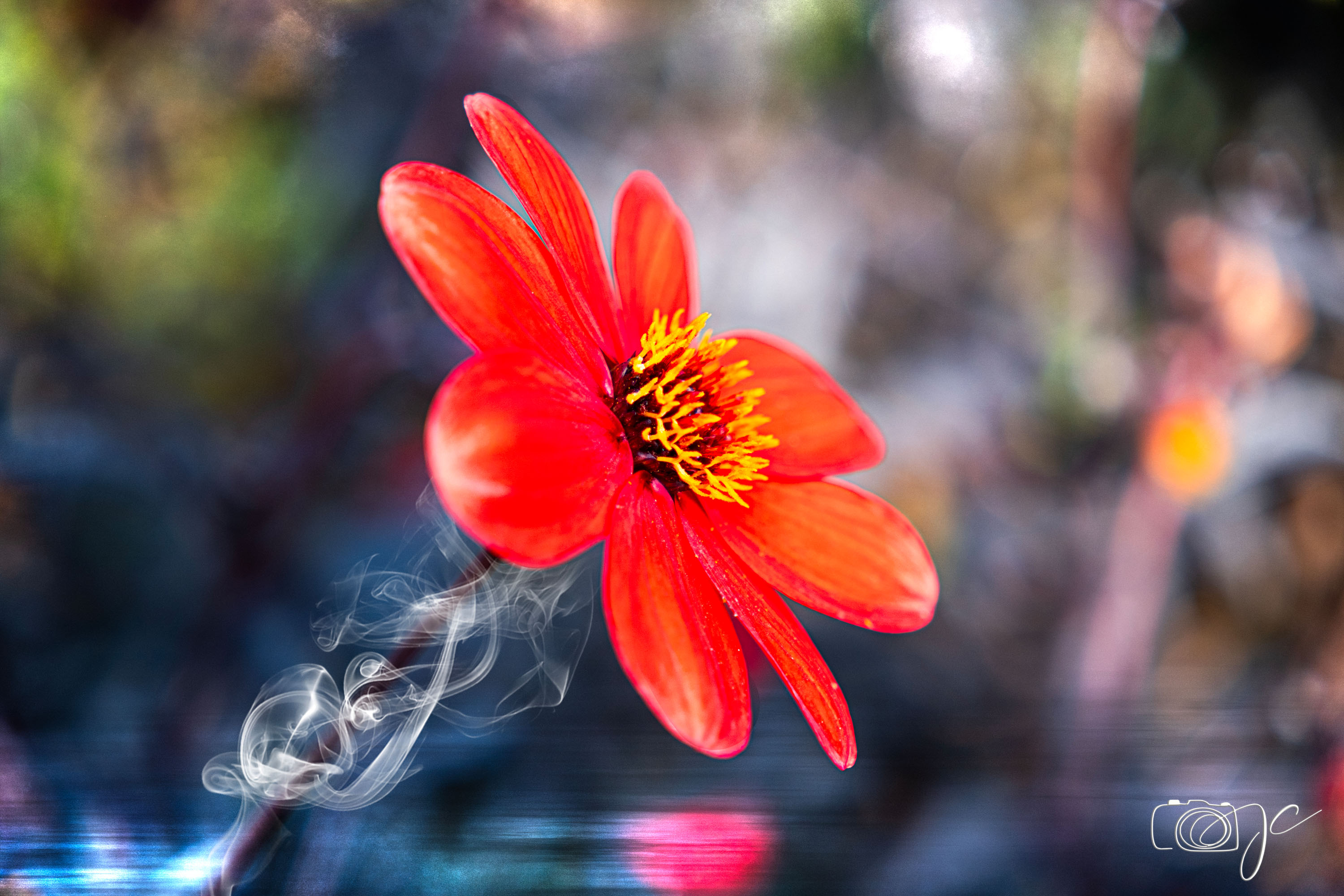 Macro