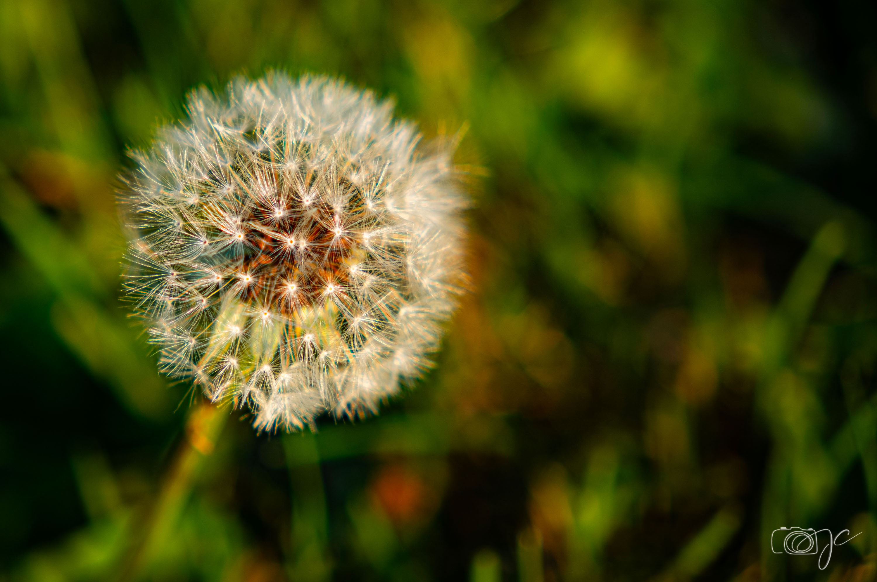 Macro