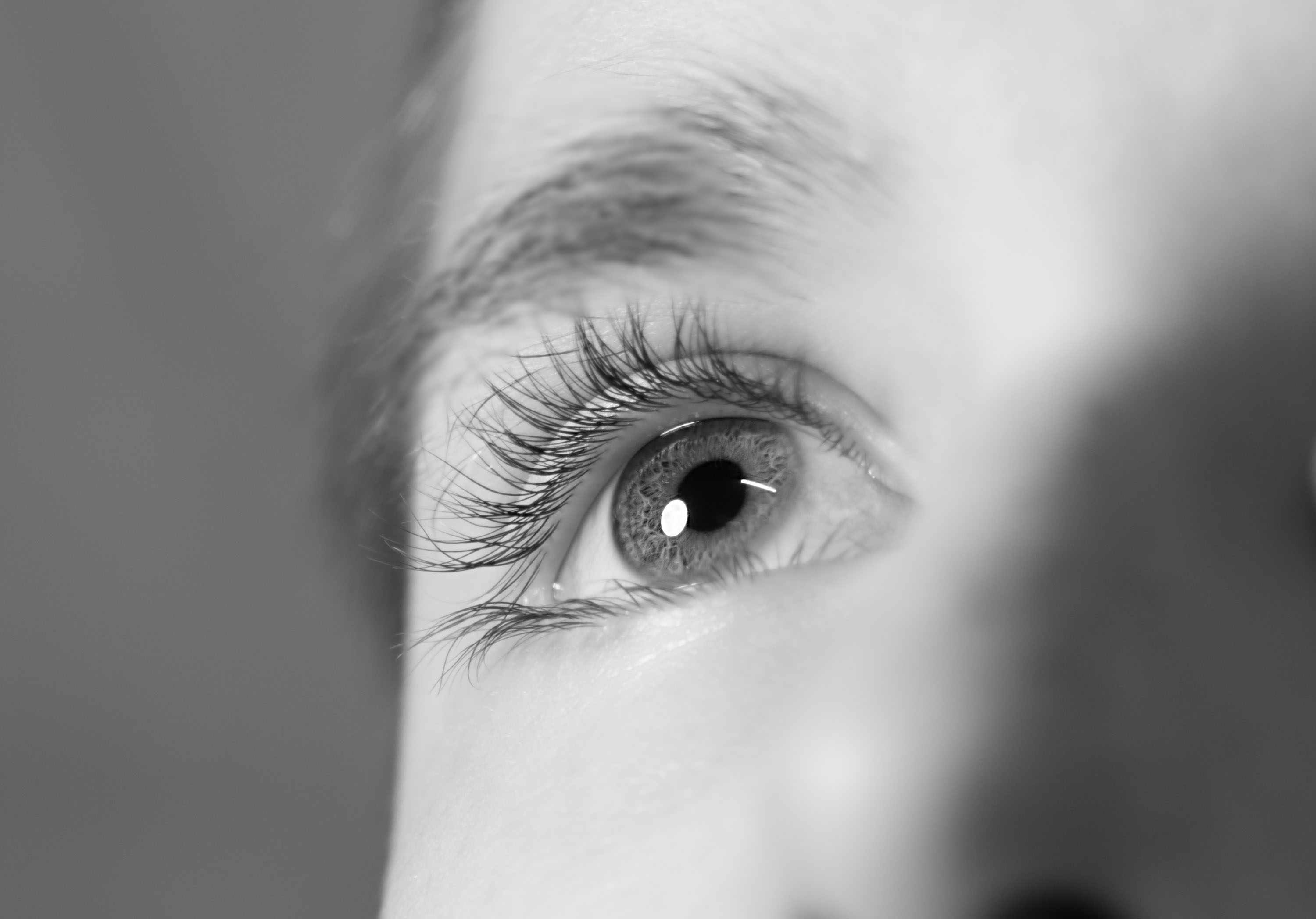 Macro