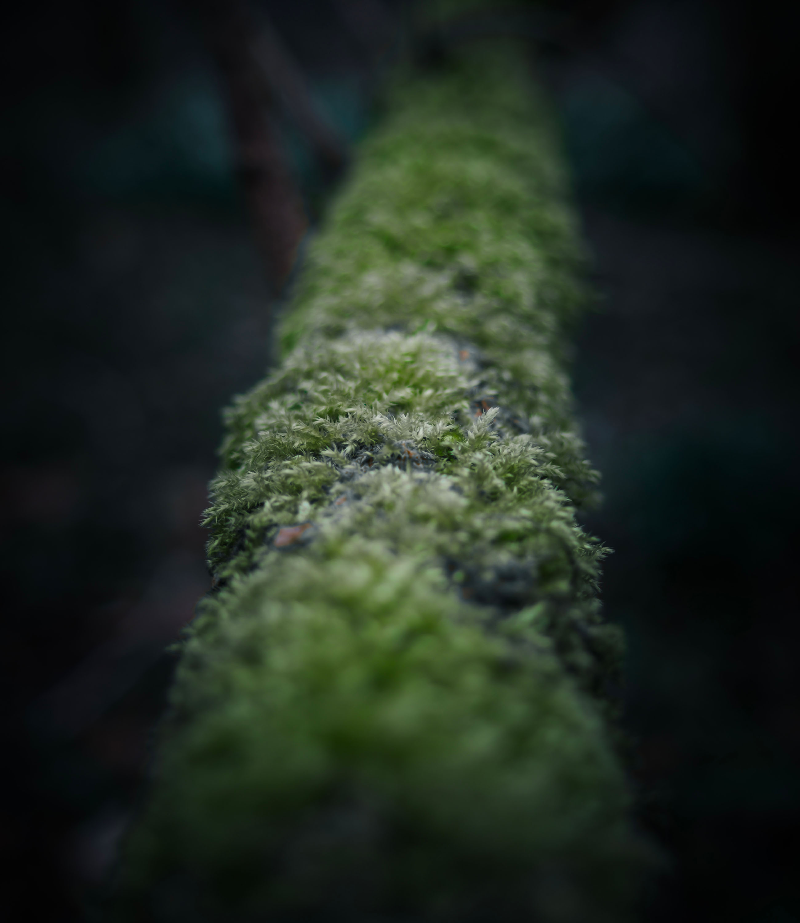 Macro