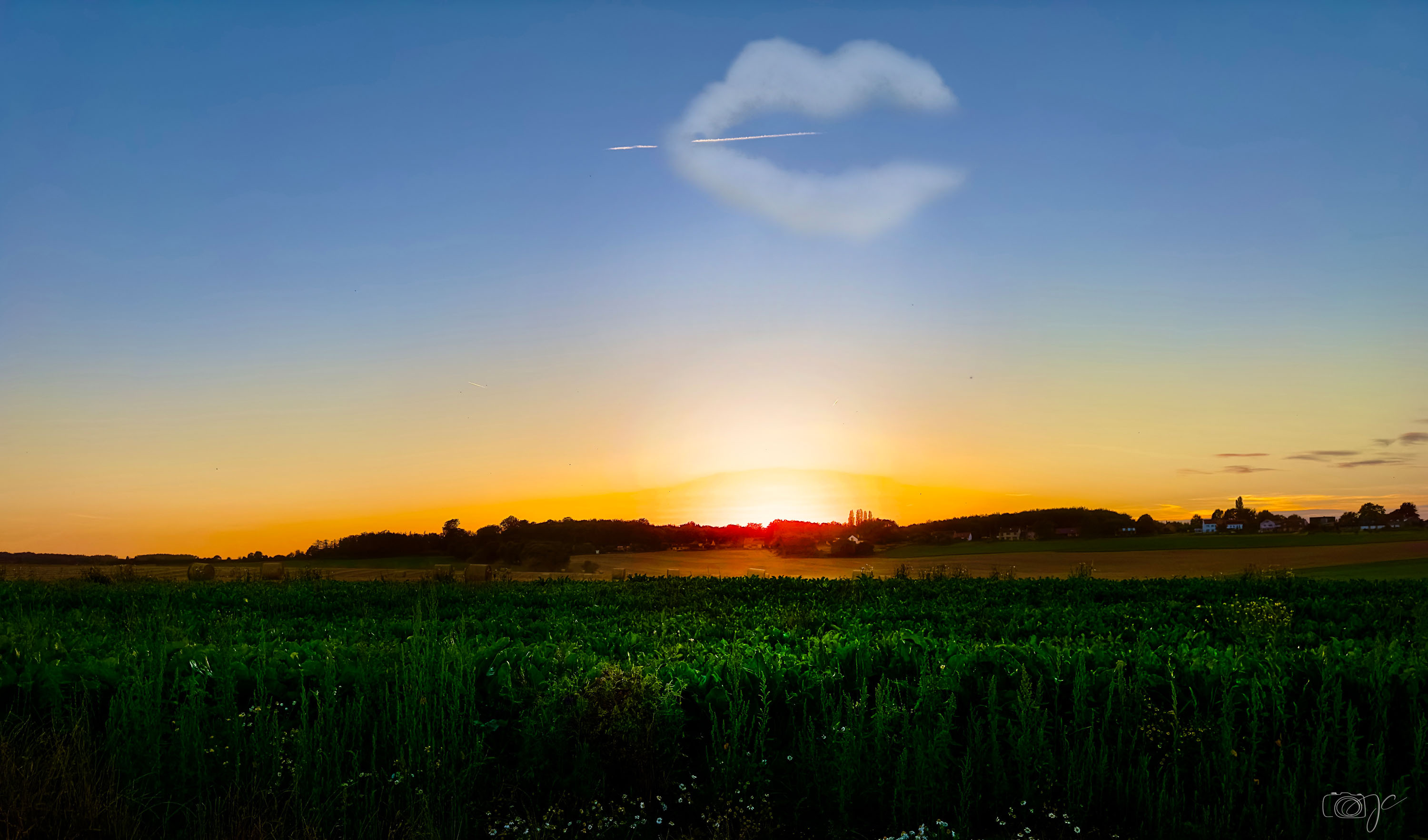 Paysage