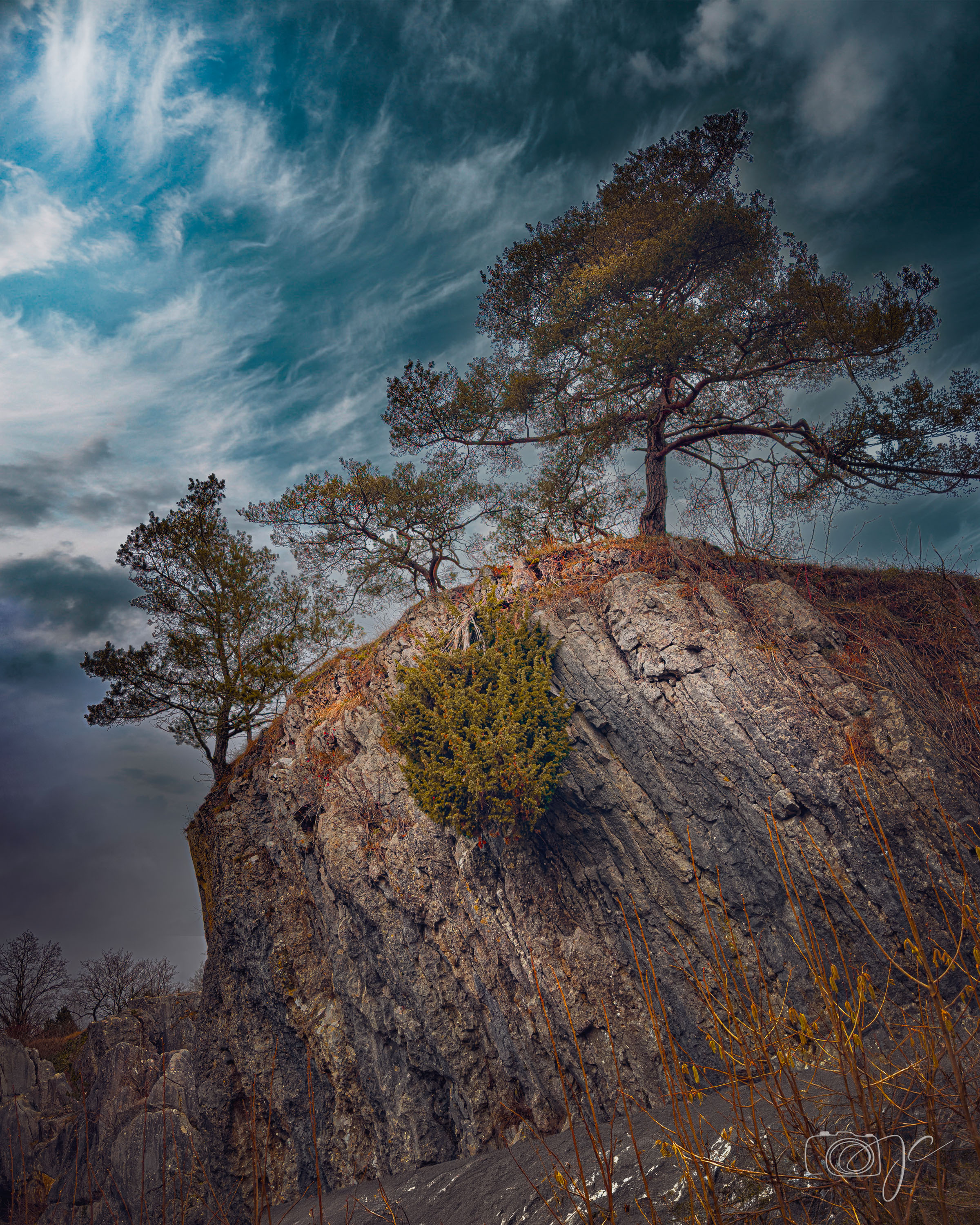 Paysage