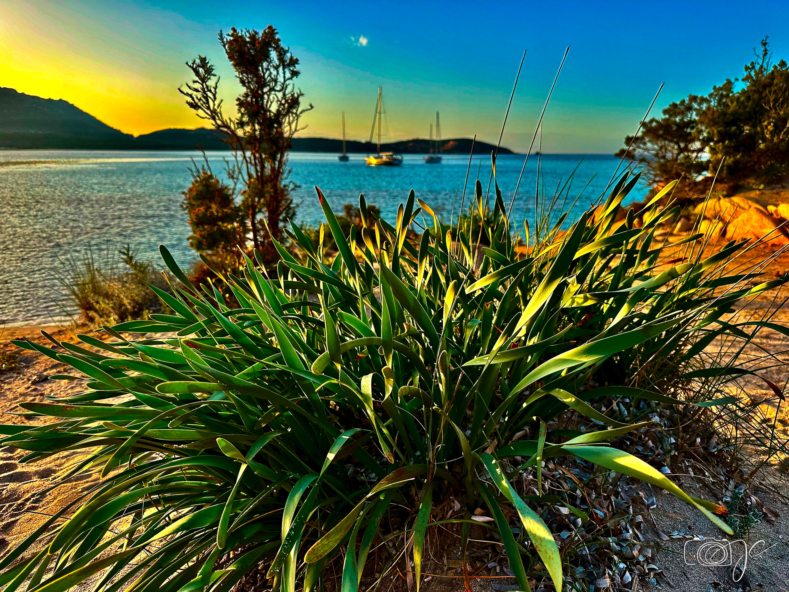 Paysage