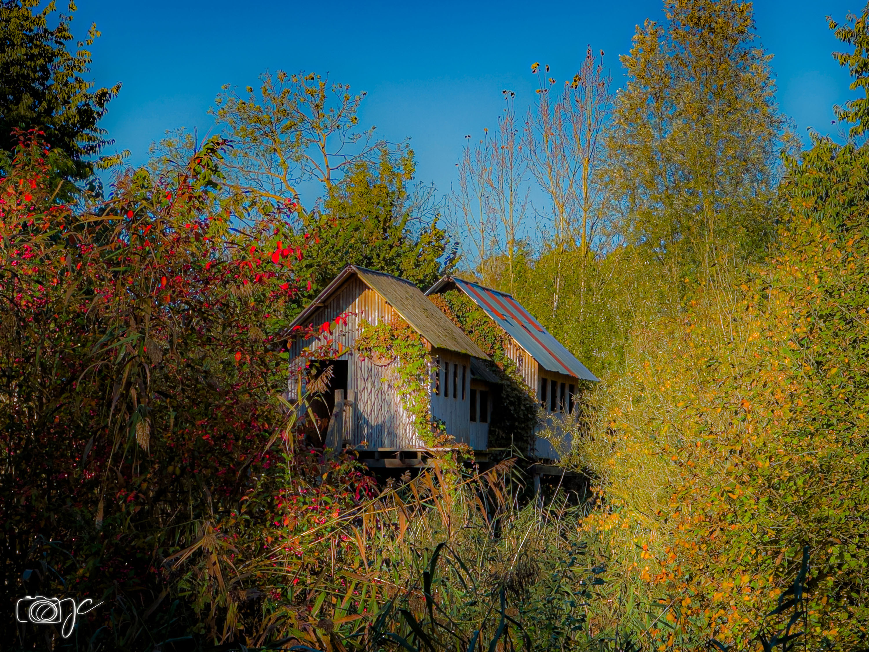 Urbex