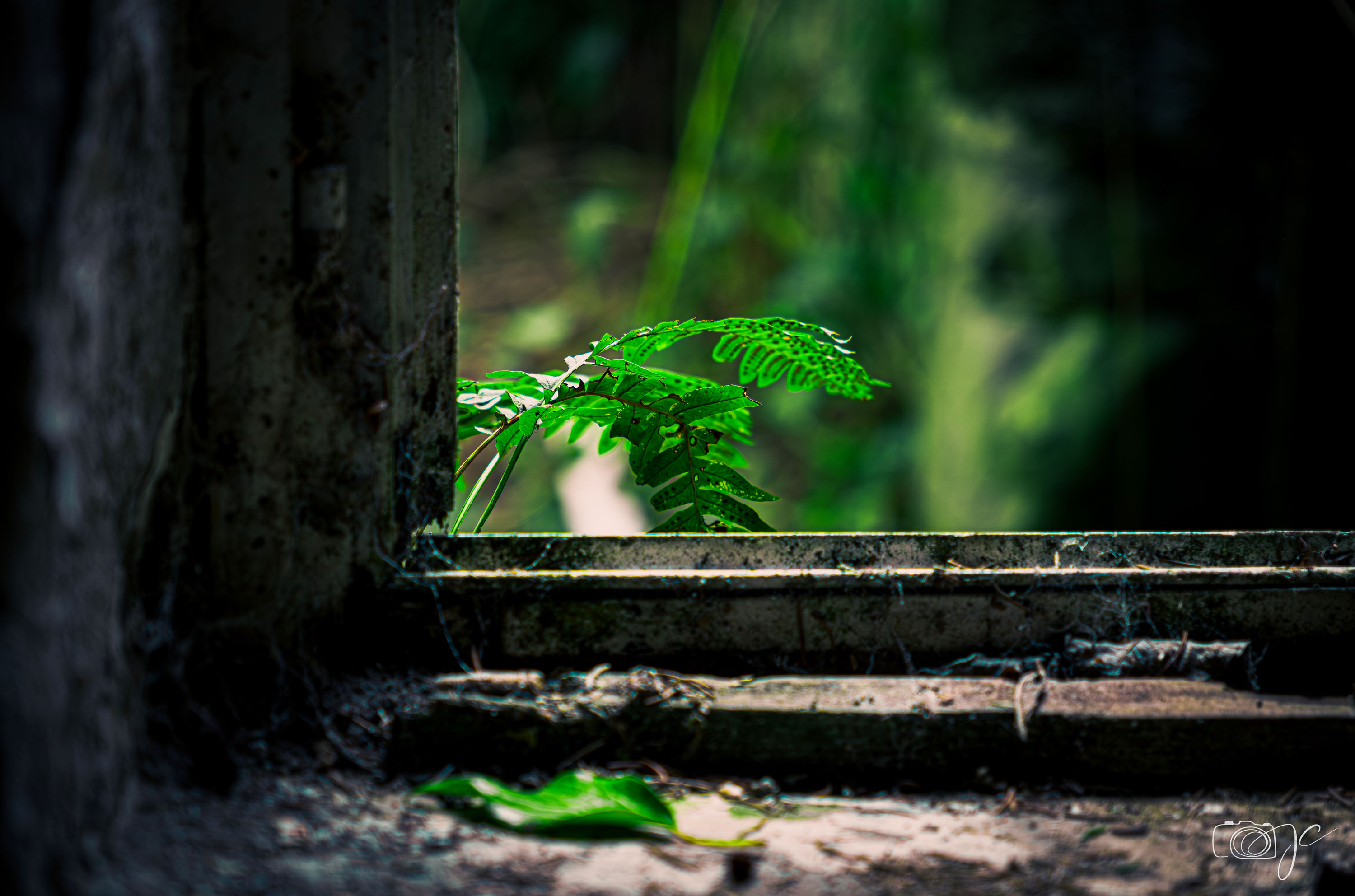 Urbex